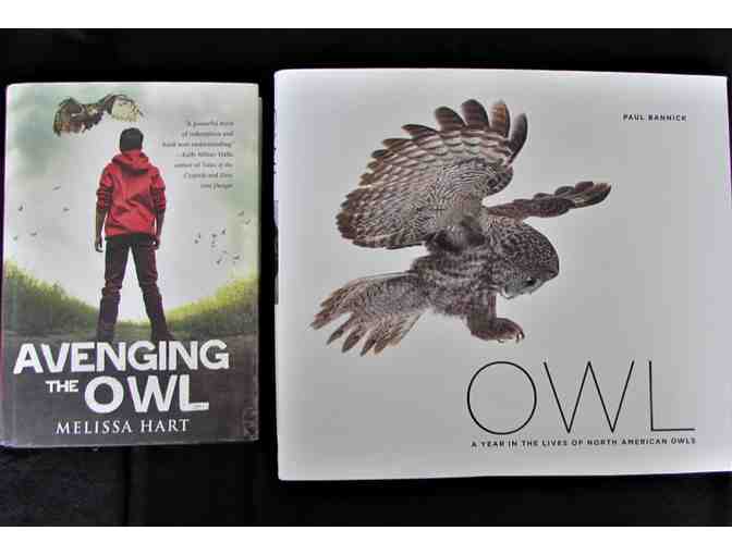 Brand New Books & More Books!