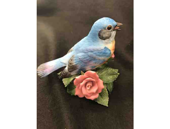 Beautiful Blue Lenox Bluebird