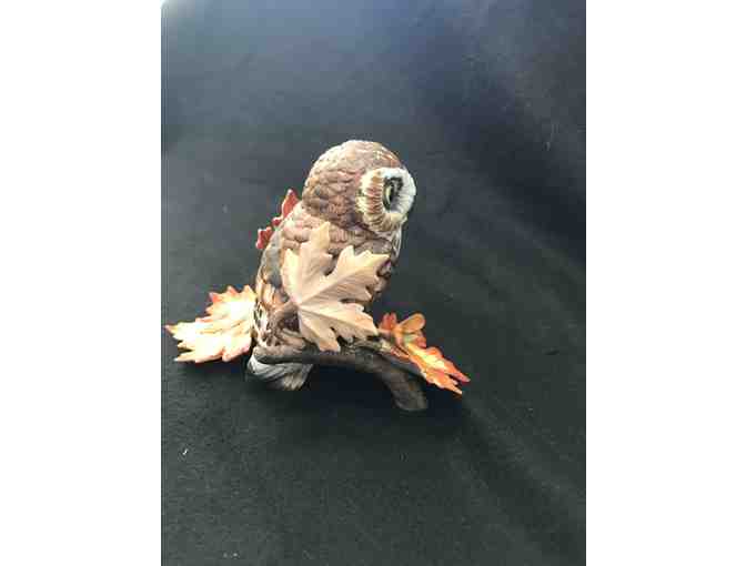 Hoot Hoot! Lenox Saw Whet Owl