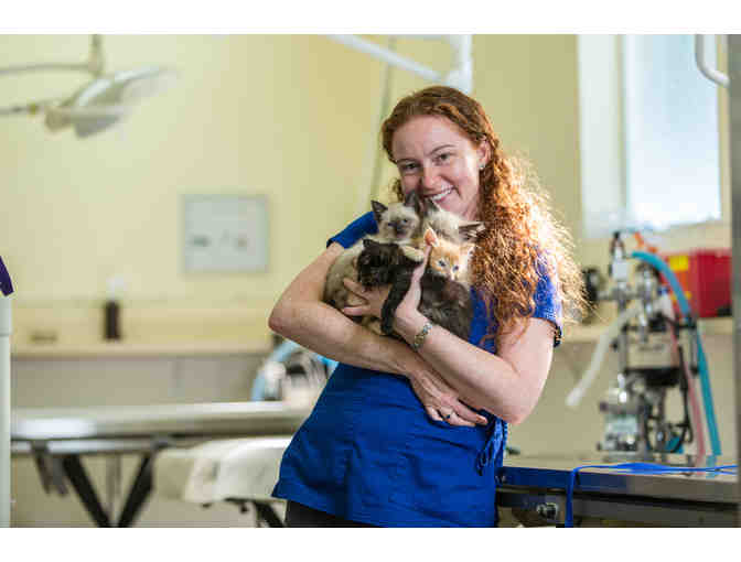 Fund A Need- Help us Provide Compassion in Action!