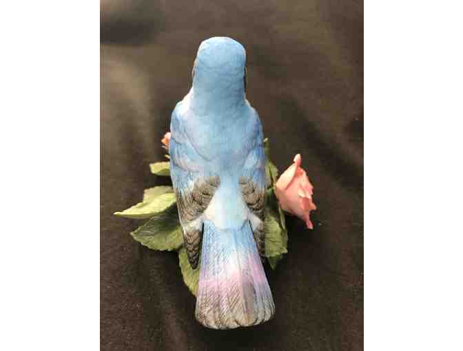 Beautiful Blue Lenox Bluebird