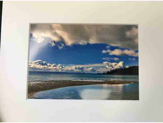 Let Pam's Island Become YOUR Island