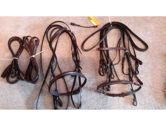 Bridles and Bits for your Favorite Horse