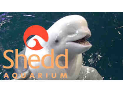 Shedd Aquarium Gift Certificate for 4- Expires October 2020