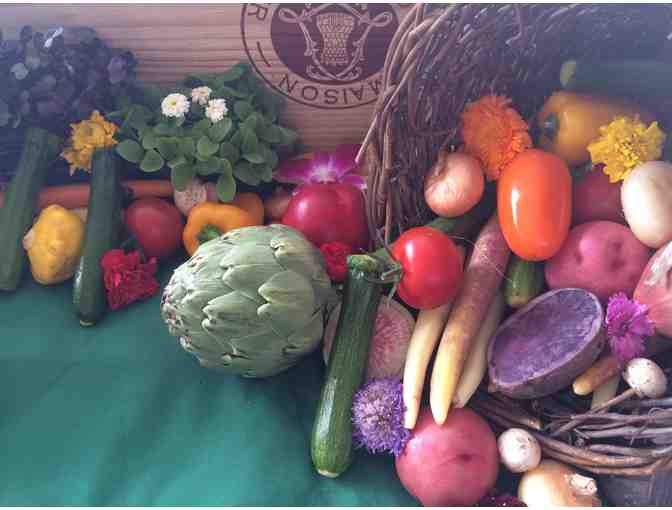 Golden Harvest - $40 gift certificate