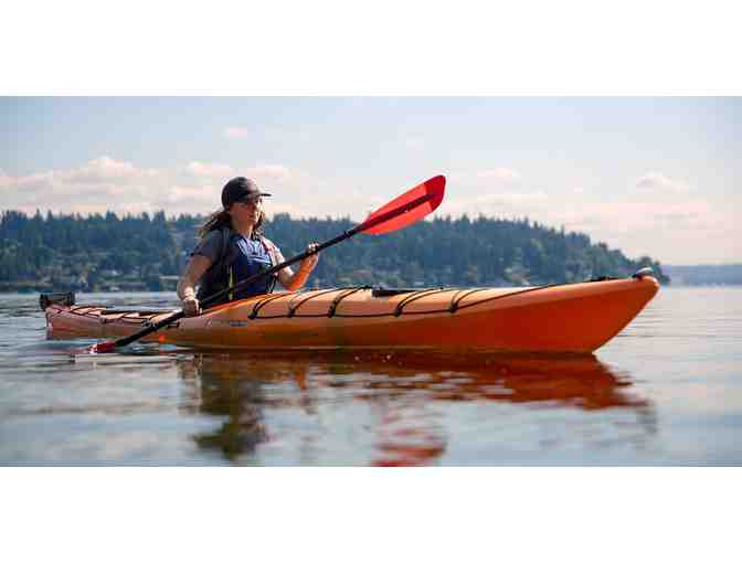 Guided paddle in the Great Bay Estuary