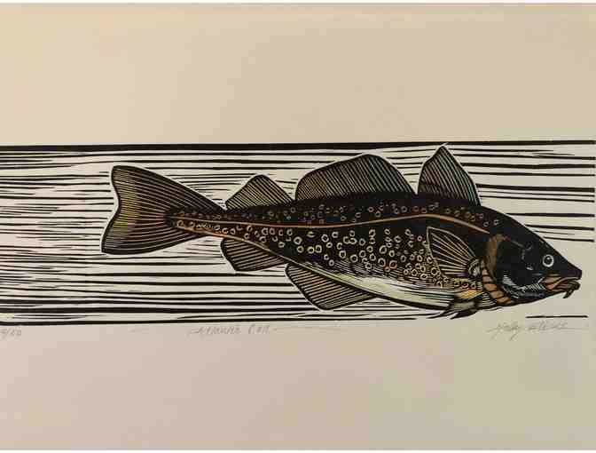 Atlantic Cod Print by Holly Elkins