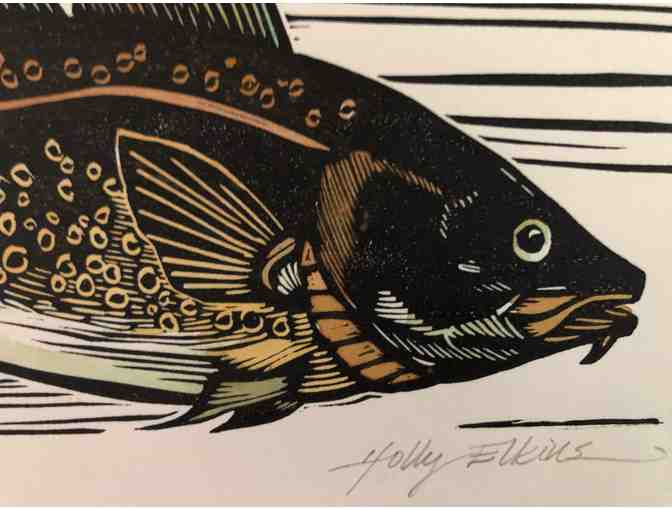 Atlantic Cod Print by Holly Elkins