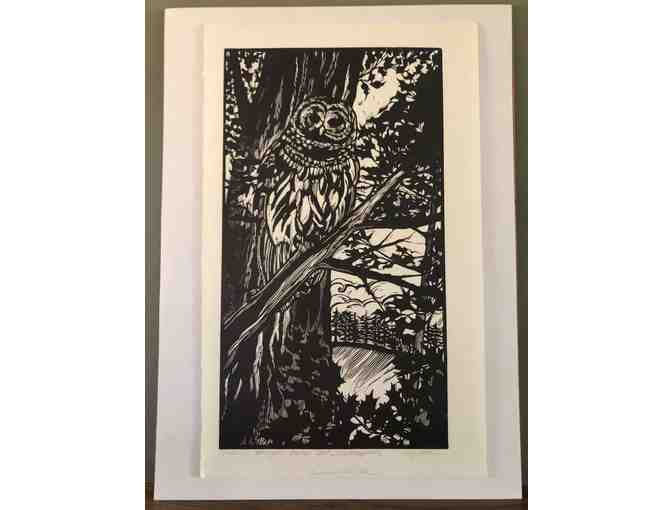 Owl Print by Holly Elkins