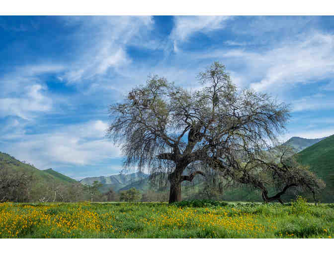 Nature photo by John Greening