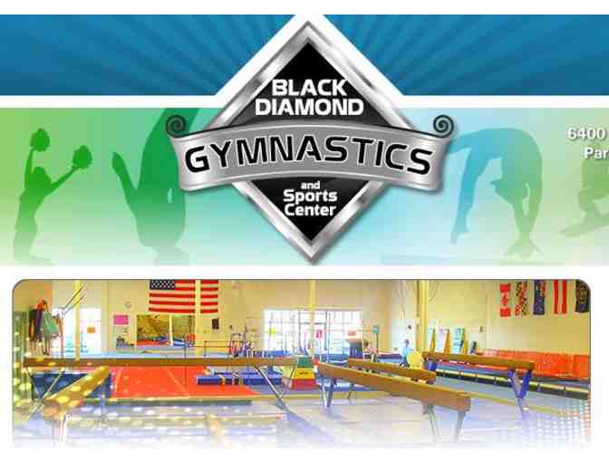 2 Hour Birthday Party for 10 at Black Diamond Gym
