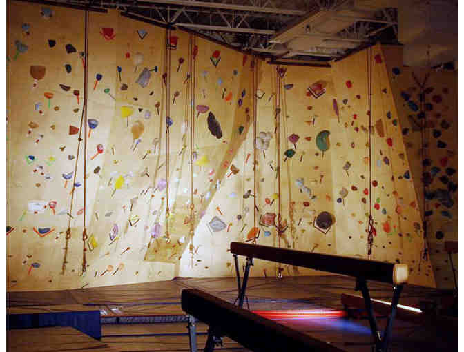 2 Hour Birthday Party for 10 at Black Diamond Gym