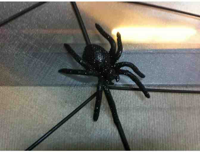 Giant Spiderweb from Seasons/Rocky Mountain Christmas Store