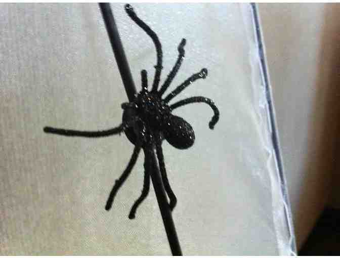 Giant Spiderweb from Seasons/Rocky Mountain Christmas Store