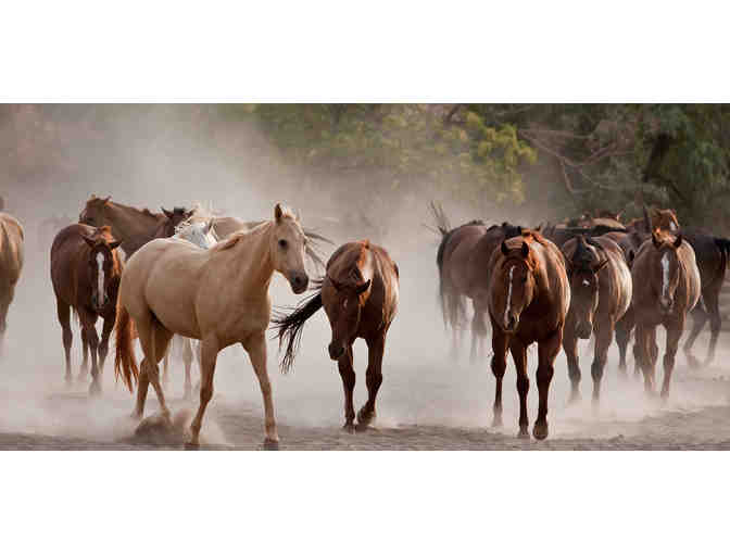 RED CLIFFS LODGE: 1 Night in a Suite for Two