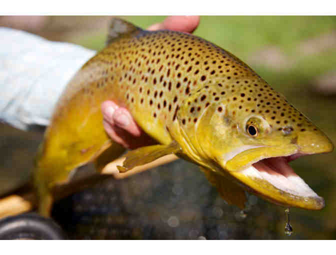 PARK CITY ANGLERS: Half-Day Fly Fishing for 2