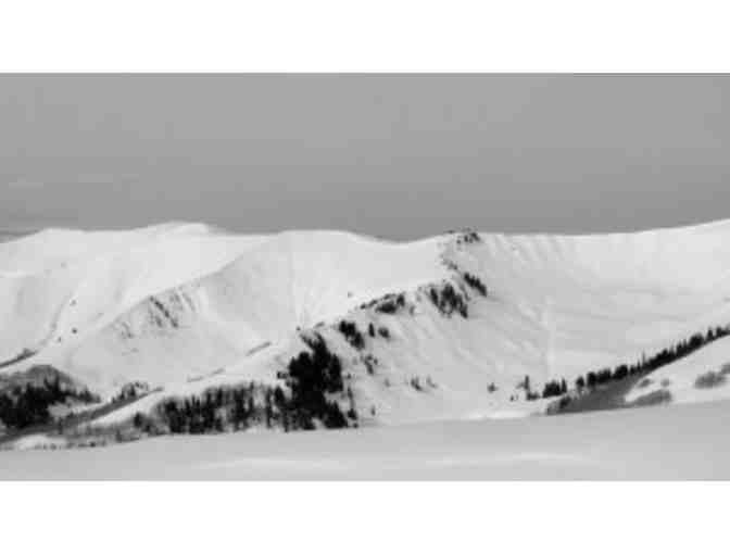 Park City Powder Cats: One Day of Snowcat Skiing/Snowboarding for Two People