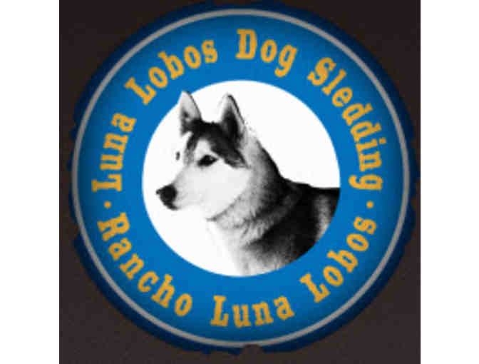 Luna Lobos:   Dog Sledding