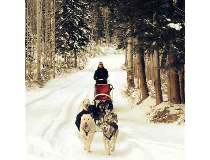 Luna Lobos - Dog Sledding