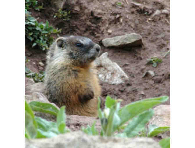 Swaner Preserve & EcoCenter - Family Membership (1)