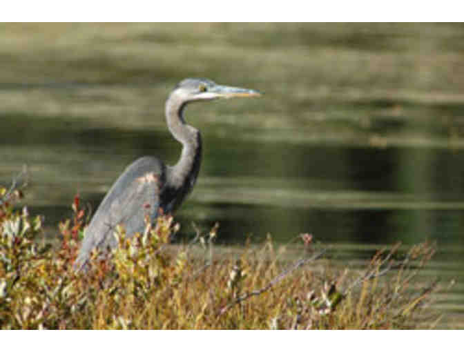 Swaner Preserve & EcoCenter - Family Membership (1)