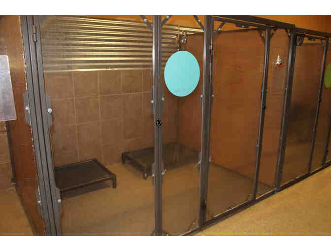 Doginhaus -  3 Nights Lodging in Studio Unit