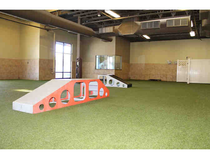 Doginhaus - 3 Nights Lodging in Studio Unit