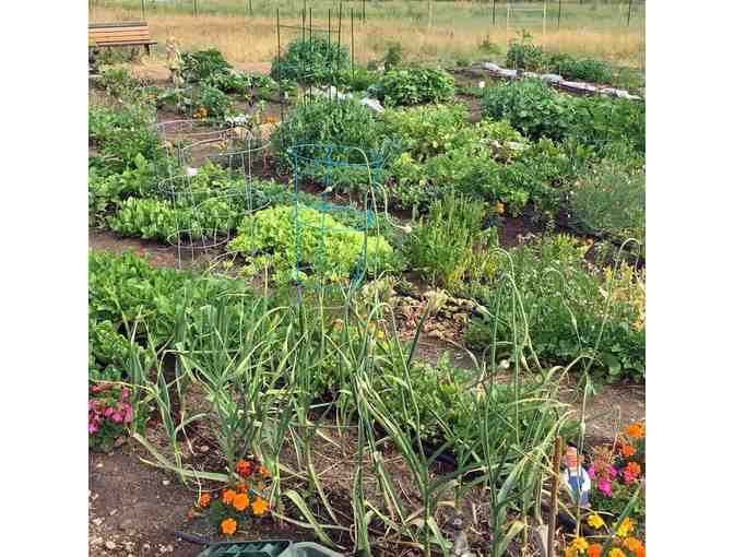 Summit Community Gardens - Community Garden Plot Rental