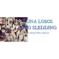 Luna Lobos Dog Sledding