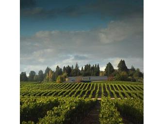 Mixed Case Pinot Noir and Chardonnay - Kistler Vineyards, Sebastopol, CA