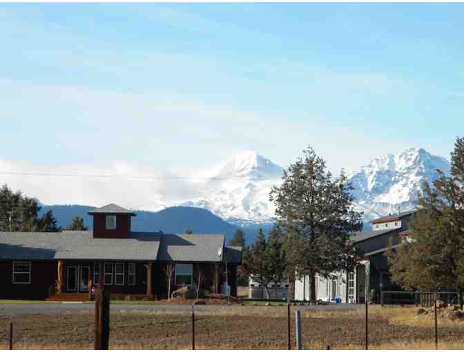 7031 - 18 Bottles Artisan Whiskey, Vodka and Gin - Bendistillery, Bend OR