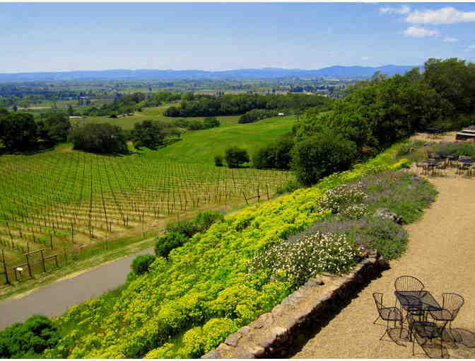 7117 - Guided Tour, Barrel Tasting and Lunch for Six - Paradise Ridge Winery, Santa Rosa