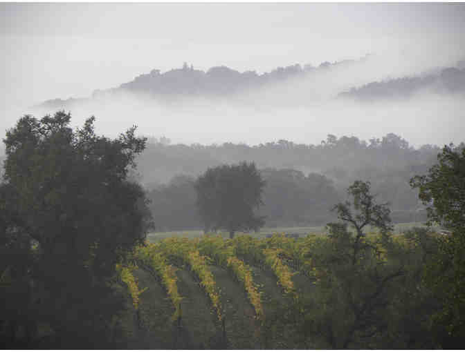 7142 - VIP Tour, Tasting, Lunch for 6 - Flanagan Wines, Santa Rosa