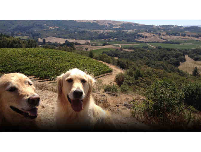 7142 - VIP Tour, Tasting, Lunch for 6 - Flanagan Wines, Santa Rosa