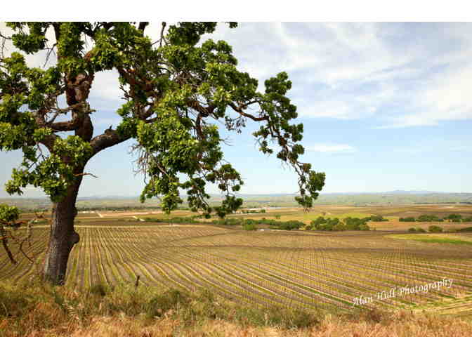 7149 - Crash Course for up to Ten People - Steinbeck Vineyards & Winery, Paso Robles