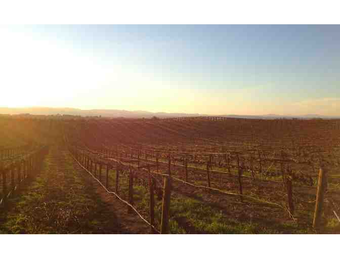 7149 - Crash Course for up to Ten People - Steinbeck Vineyards & Winery, Paso Robles