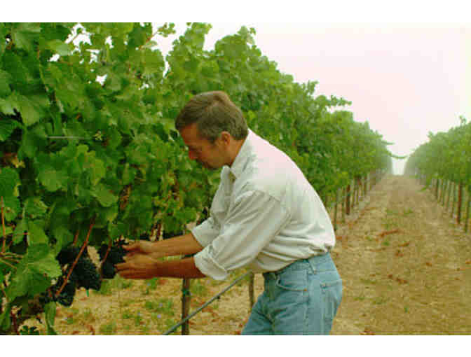 7210 - Mixed Case Pinot Noir & Chardonnay - Alysian Wines, Healdsburg