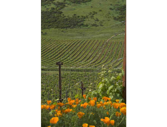 7204 - Signed Magnum Pinot Noir & Private Tour & Tasting - Schug Carneros Estate Winery