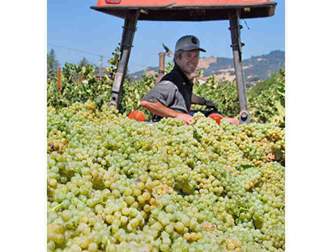 7050 - Mixed Case - Hafner Vineyard, Healdsburg