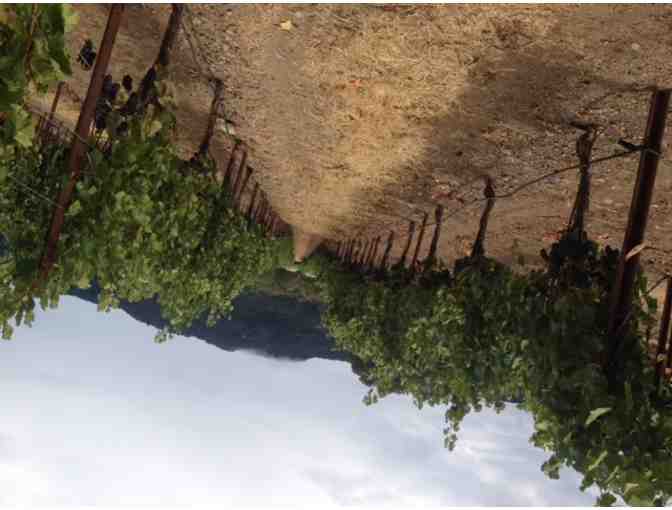 7257 - Six Hour Luxury Wine Tour for Six - Boutique Wine Tours, Kenwood