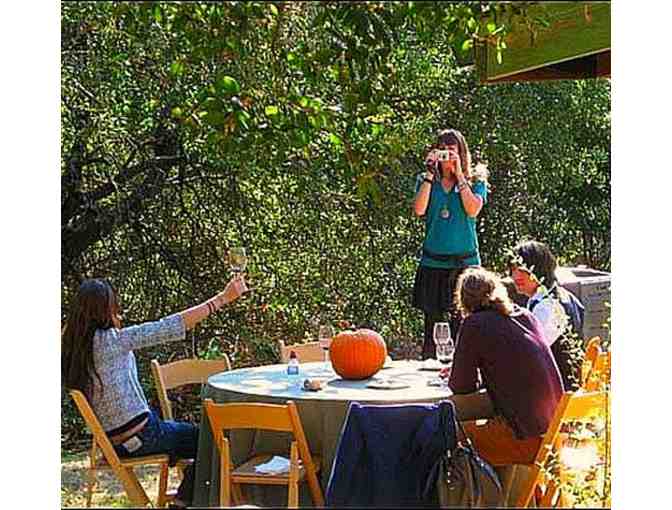 7175 - Winemaker Tasting, Vineyard Tour, Tapas for Four - Moniclaire Vineyards, Healdsburg