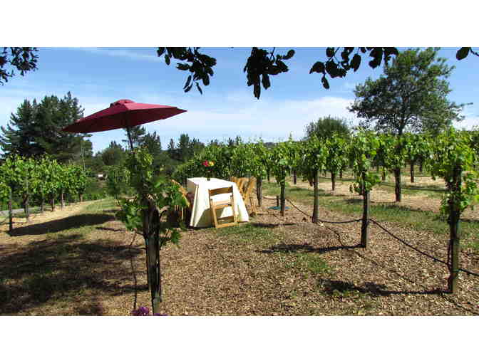 7175 - Winemaker Tasting, Vineyard Tour, Tapas for Four - Moniclaire Vineyards, Healdsburg