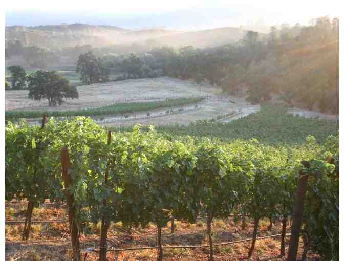 7244 - Private Farm-to-Table Dinner for Twelve Adults - Six Sigma Ranch and Winery