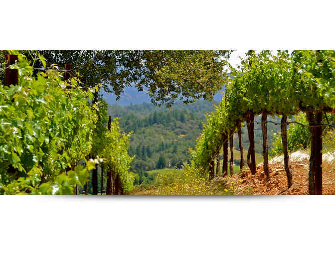 7297 - Case 2002 Hillside Estate Cabernet Sauvignon - Collier Falls Winery, Healdsburg