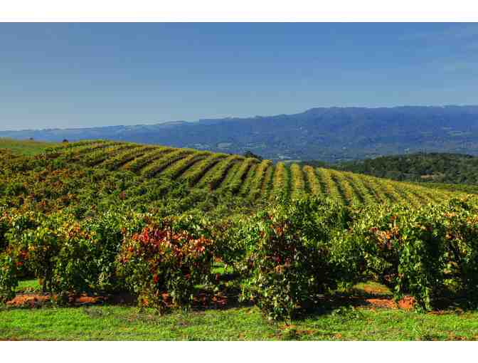 7089 - Over the Moon Tour for Two Couples - Vin de Luxe Tours, Sonoma