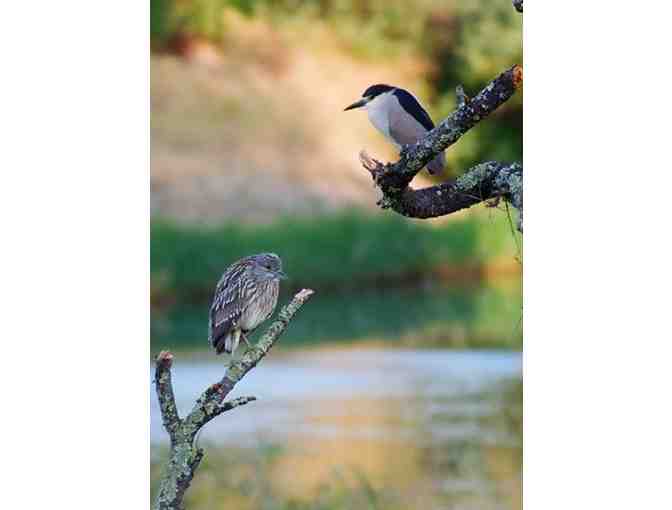 7009 - Two Night Guest House Stay for Four - Parducci Wine Cellars, Ukiah