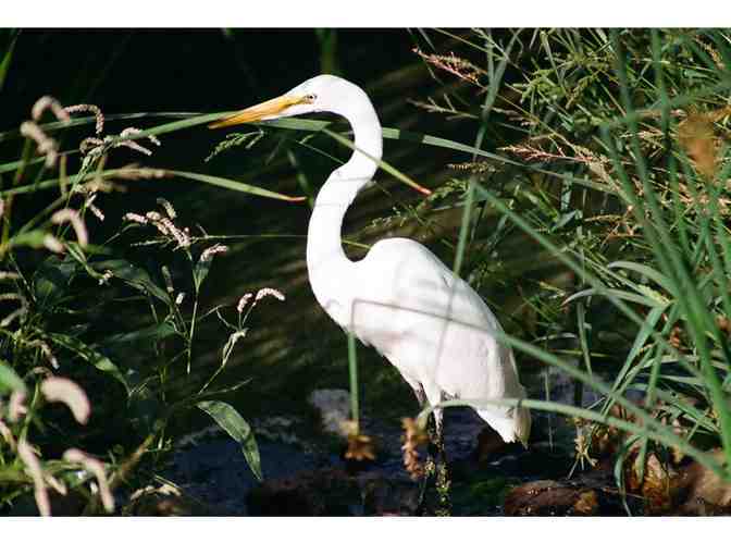 7009 - Two Night Guest House Stay for Four - Parducci Wine Cellars, Ukiah