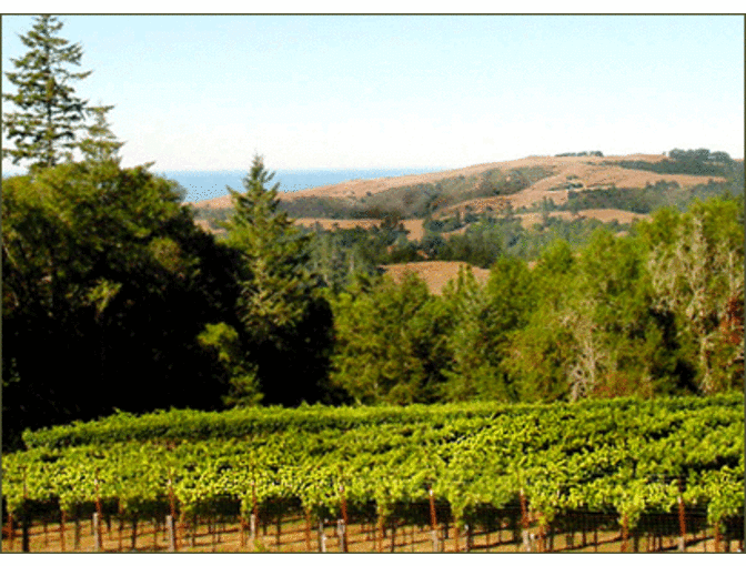 7092 - 750ml Bottle 2009 Marcassin Pinot Noir - Friend of KRCB