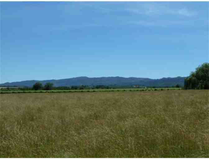 7194 - One Night Country Farm House Room for 2 - Makiivka Estate Farm Reserve, Lakeport