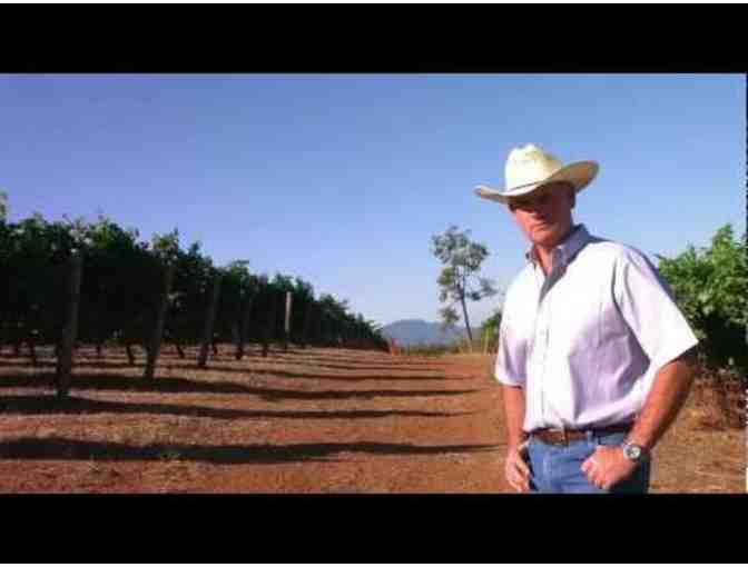 7197 - 3 Liter 2010 Two Bud Zinfandel - Shannon Ridge Family of Wines, Clearlake Oaks